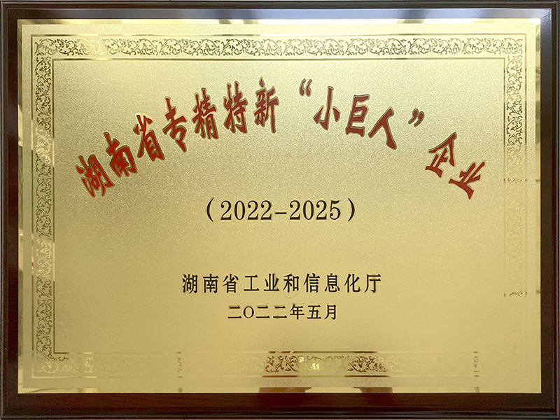 湖南省專精特新“小巨人”企業(yè)