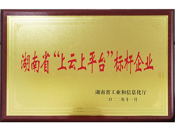  湖南省“上云上平臺”標桿企業(yè)